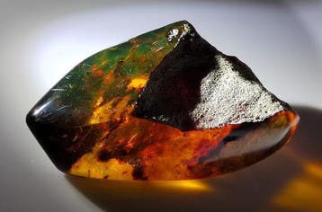 Mexicaanse amber Chiapas!! AAA- 36.1 g