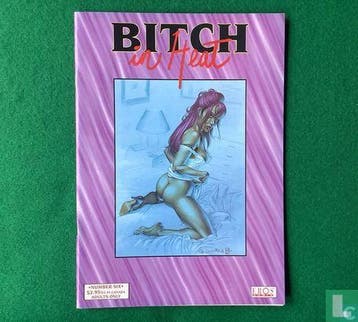 Bitch in Heat 6 - 1998, Boeken, Strips | Comics, Eén comic, Verzenden, Casotto, Giovanna., Zo goed als nieuw