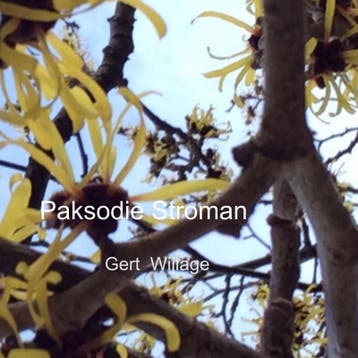 Paksodie Stroman | Gert Wijlage | Nieuw, Ophalen of Verzenden, Nieuw, Gert Wijlage