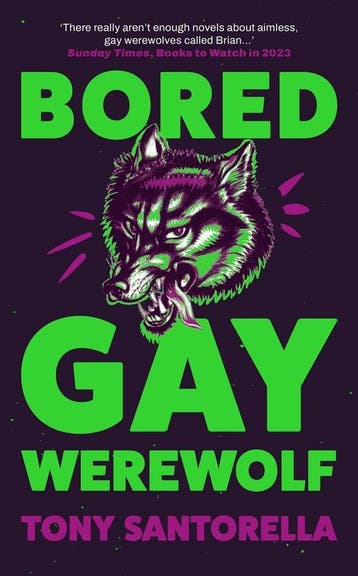 Bored Gay Werewolf - Tony Santorella 9781838957223, Verzenden, Gelezen, Tony Santorella