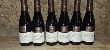 2019 Parigot Alexandre Clos de la Chanière - Pommard 1er, Nieuw