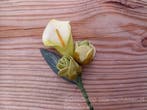 Corsage Calla Groen CC 898 Maatwerk corsage, Ophalen of Verzenden, Nieuw