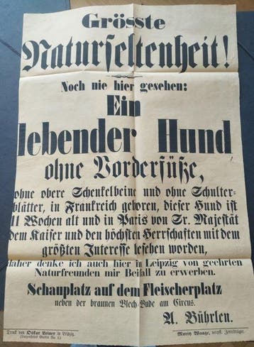 Ein lebender Hund ohne Vorderfüße - 1857, Antiek en Kunst, Antiek | Boeken en Bijbels