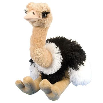 Wild Republic struisvogel knuffel - pluche - 35 cm, Verzenden, Nieuw