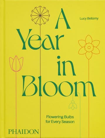 A Year In Bloom | Lucy Bellamy | Nieuw, Ophalen of Verzenden, Nieuw, Lucy Bellamy