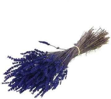 Geprepareerd gepreserveerd lavendel dark blue bundel 45 cm, Ophalen of Verzenden, Nieuw
