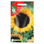 Bloemzaden Zonnebloem | VT, Verzenden