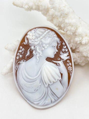CASSIS MADAGASCARIENSIS - Cameo - Handgesneden camee