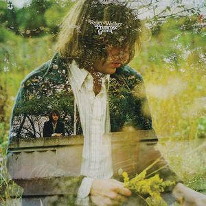 cd digi - Ryley Walker - Primrose Green, Verzenden, Zo goed als nieuw