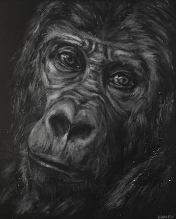 Vincent LENAERTS - Un regard