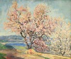 Julien Feron (1864-1944) - Amandier en fleurs à Gassin