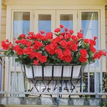 Kunst Azalea Struik Rood - UV-bestendig, Decoratieve Nepbloe, Verzenden, Nieuw
