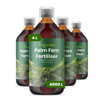 Palmvaren Vloeibare Meststof - Set 4x1 liter, Verzenden, Mest