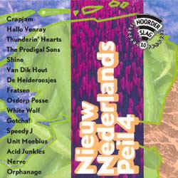 cd - Various - Nieuw Nederlands Peil 4 (Noorderslag 10), Verzenden, Zo goed als nieuw