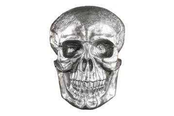 Exclusief wandsculptuur SKULL XXL 40cm zilveren decoratieve, Ophalen of Verzenden, Nieuw