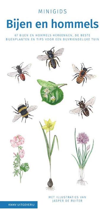 Bijen En Hommels Set 3 Ex | Maureen Kemperink | Nieuw, Boeken, Ophalen of Verzenden, Nieuw, Maureen Kemperink