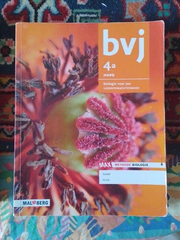 bvj 4a Havo  9789402031751, Zo goed als nieuw
