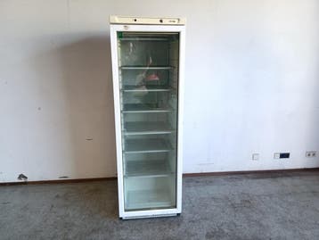 Vrieskast met Glazen Deur – 330 Liter – B60 x D60 x H187 cm, Gebruikt