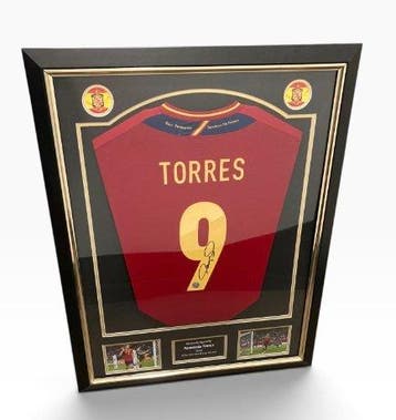 Spain National Team - Torres - Voetbalshirt, Nieuw