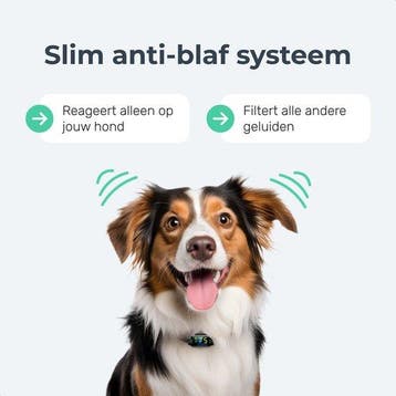 2dekans | Dutchwide Anti-blafband Pro – 100% Waterdicht –, Ophalen of Verzenden, Zo goed als nieuw