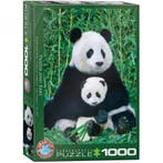 Panda & Baby Puzzel (1000 stukjes) | Eurographics - Puzzels, Hobby en Vrije tijd, Denksport en Puzzels, Verzenden, Nieuw