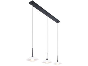 Steinhauer Tallerken 2654ZW - Hanglamp - Hoogte Verstelbaar, Huis en Inrichting, Verzenden, Nieuw