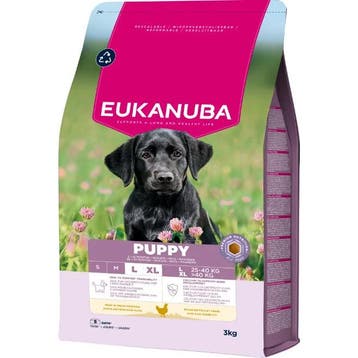 Eukanuba Puppy & Junior Large Breed Kip 3 kg (Hondenvoer), Verzenden, Hond