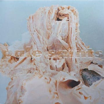 Pale Saints – In Ribbons 0191400040700 (2-12-Vinyl-LP-Clear, Ophalen of Verzenden, Nieuw in verpakking