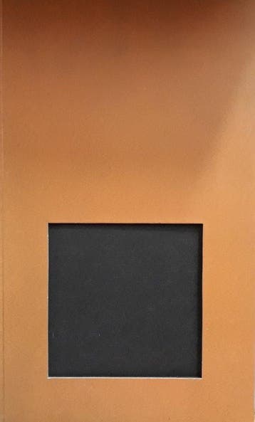 Anish Kapoor - Sandhini Poddar 9780892073788, Verzenden, Gelezen, Sandhini Poddar