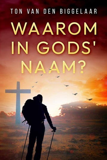 Waarom in Gods Naam? - Ton van den Biggelaar 9789083302201, Verzenden, Zo goed als nieuw, Ton van den Biggelaar