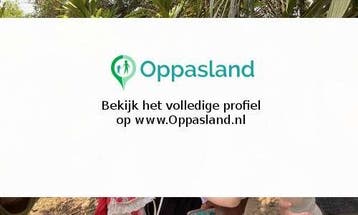 Hanna zoekt een oppas in Den Haag voor 1 kind op maandag,...