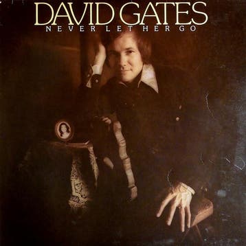 LP gebruikt - David Gates - Never Let Her Go, Verzenden, Zo goed als nieuw, Overige formaten