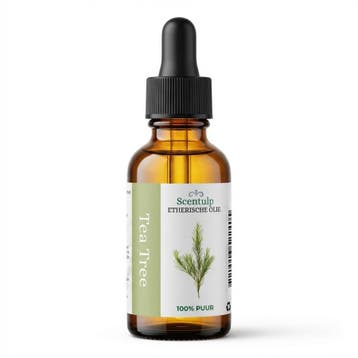Etherische Olie Tea Tree - BIO | Scentulp - 30 ml, Verzenden, Nieuw