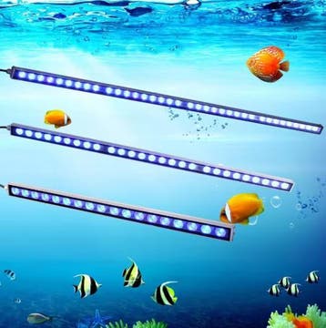 LED Aquarium Lichtbalk – Waterdichte Blauwe Rif en Plantlamp, Dieren en Toebehoren, Vissen | Aquaria en Toebehoren, Verzenden