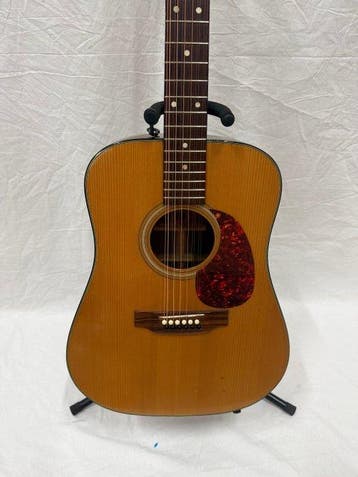Roderich Paesold - 12-String (Solid-Top) - - 12-snarige, Muziek en Instrumenten, Nieuw
