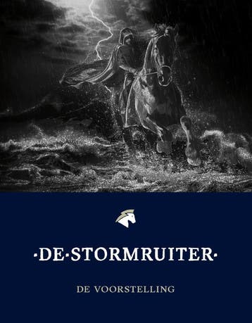 De Stormruiter 9789056154776, Verzenden, Gelezen