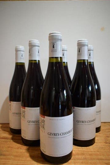 2021 Jean-Claude Rateau - Gevrey Chambertin - 6 Flessen, Nieuw