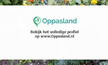 Nikki Hans zoekt een oppas in Groningen voor 3 kinderen v..., Sieraden, Tassen en Uiterlijk, Nieuw