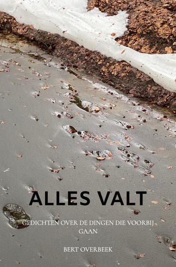 Alles Valt | Bert Overbeek | Nieuw, Ophalen of Verzenden, Nieuw, Bert Overbeek