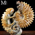 Fossiele Sculptuur Uitgehouwen Cleoniceras-ammoniet met