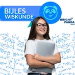 Wiskunde Bijles in Haarlem - Verbeter Je Cijfers!, Privéles, Examen- of Scriptiebegeleiding