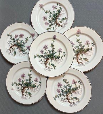 Villeroy & Boch - Bord (6) - botanica - Porselein