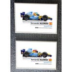 Fernando Alonso - Quadro, Nieuw