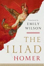 The Iliad 9781324076148 Homer, Ophalen of Verzenden, Nieuw, Homer