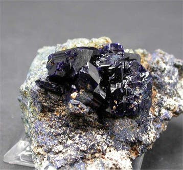 azuriet Kristallen op matrix - Hoogte: 5.5 cm - Breedte: 5.5, Verzamelen, Mineralen en Fossielen