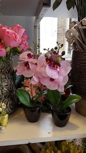 Fuchsia Paars Wit Orchidee in pot Zijdenbloem 34 cm per stuk, Ophalen of Verzenden, Nieuw