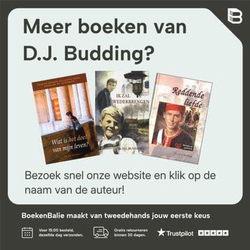 Dagelijks onderwijs - D.J. Budding 9789461150912, Boeken, Verzenden, Zo goed als nieuw, D.J. Budding