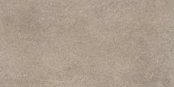 Vloertegel/Wandtegel Taupe 60x60cm (Muurtegels), 60 cm of meer, Nieuw, Ophalen of Verzenden, 10 m² of meer
