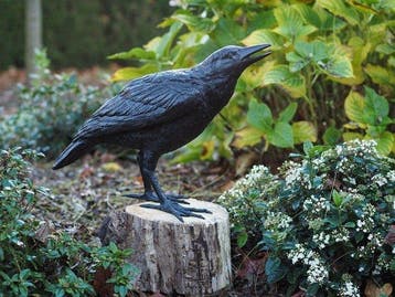 sculptuur, Raven Bird - 62 cm in length - 35 cm - Brons, Antiek en Kunst, Curiosa en Brocante
