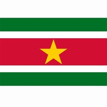 Surinaamse vlag, vlag Suriname, Nieuw